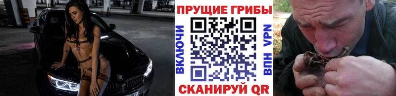 Галлюциногенные грибы Magic Shrooms  ссылка на мегу зеркало  Лениногорск  наркошоп 